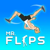 Mr. Flip